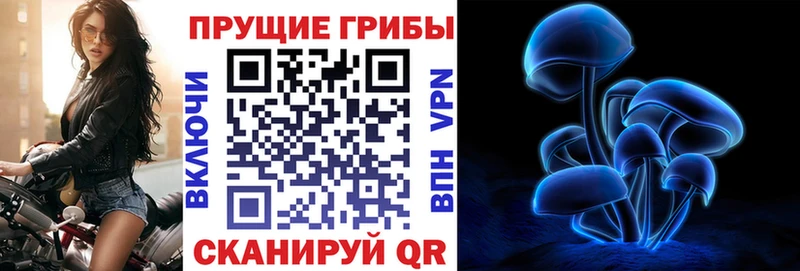 Псилоцибиновые грибы мицелий  гидра сайт  Шилка 